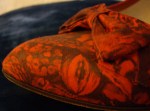 Fabric of Joyce California shoes